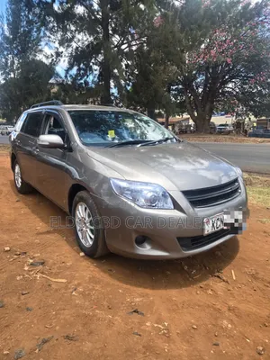 Toyota Corolla Fielder 2010 Gray