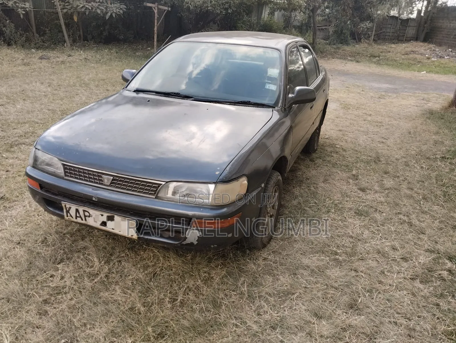 Toyota Corolla 1998 Silver