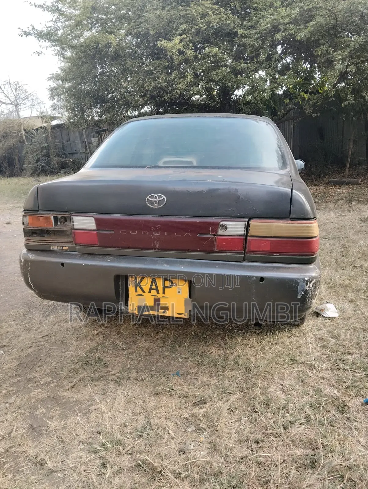 Toyota Corolla 1998 Silver