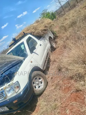 Nissan Hardbody 2002 White
