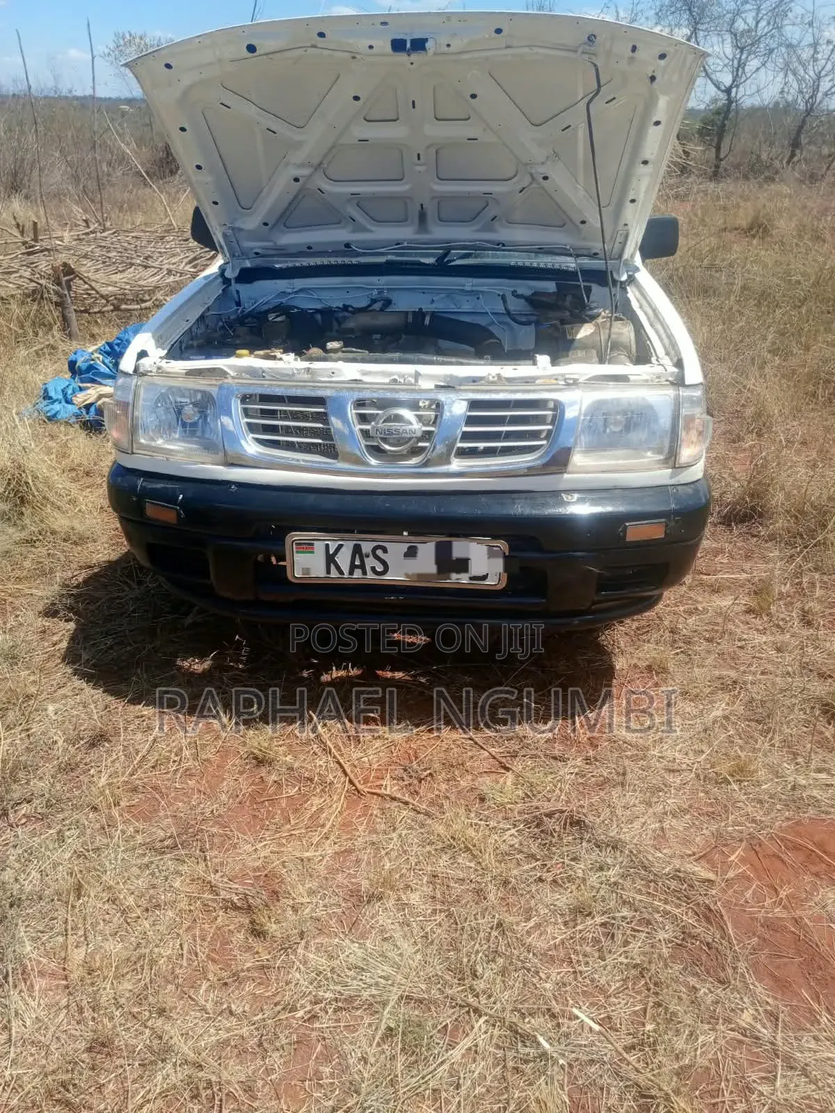 Nissan Hardbody 2002 White