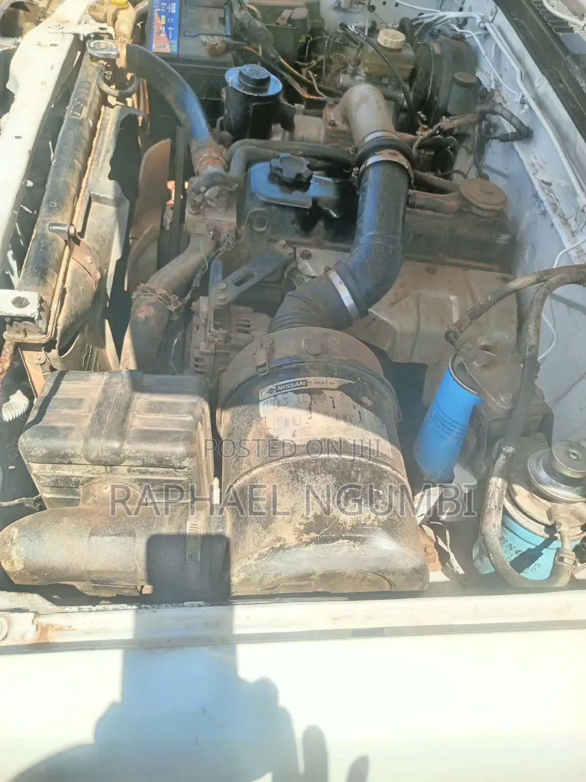 Nissan Hardbody 2002 White