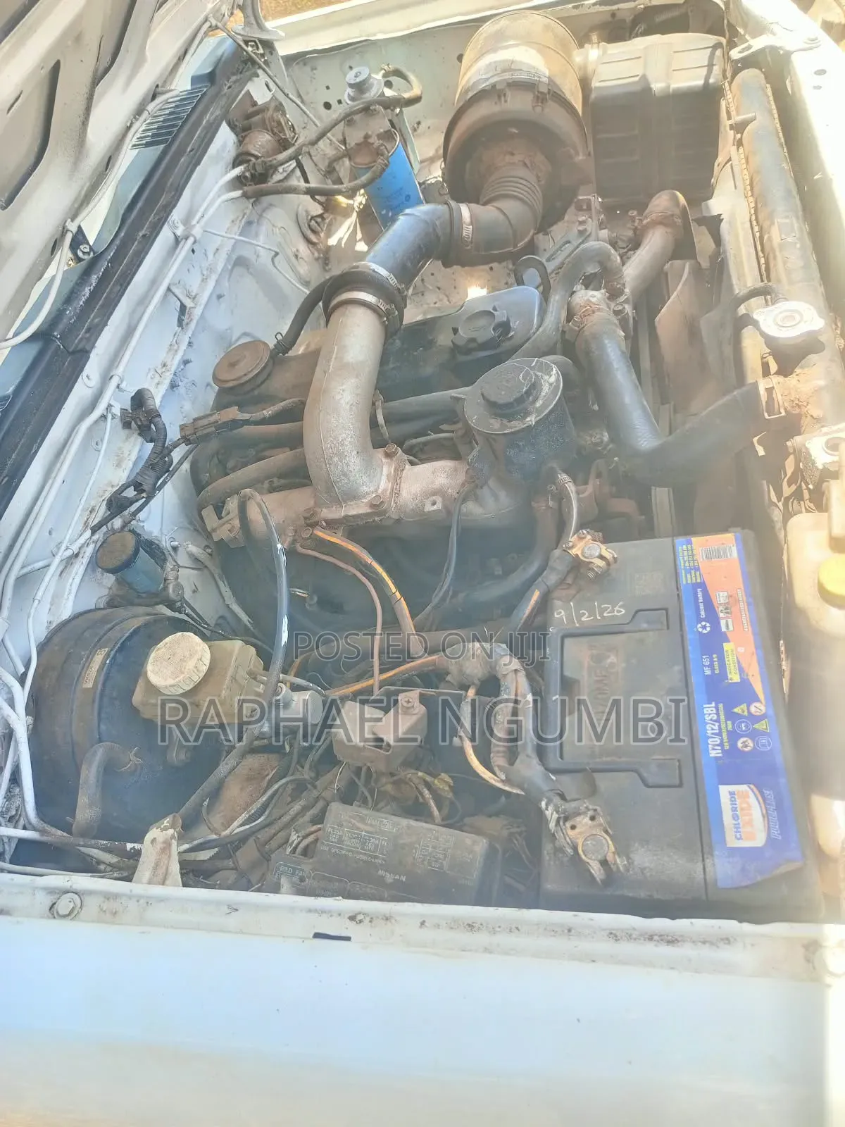 Nissan Hardbody 2002 White