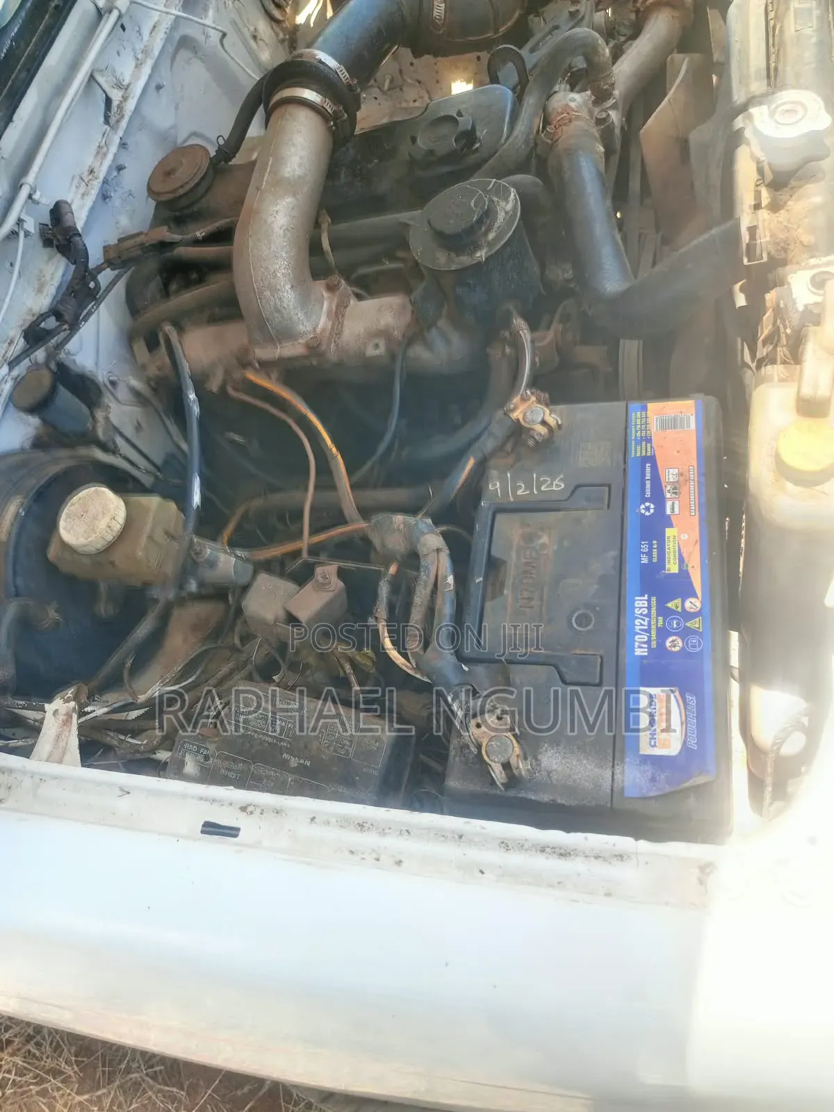 Nissan Hardbody 2002 White