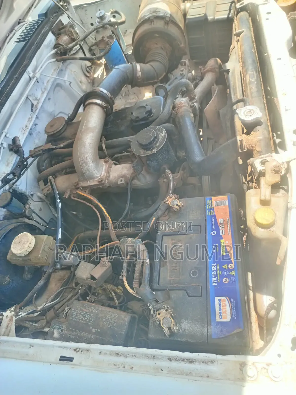 Nissan Hardbody 2002 White