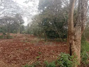 Selling 2.5m Acres in Kiamumbi Rd Ridgeways