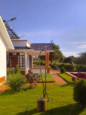 Lawn Repair, Grass Replacement & Lawn Restoration in Kenya