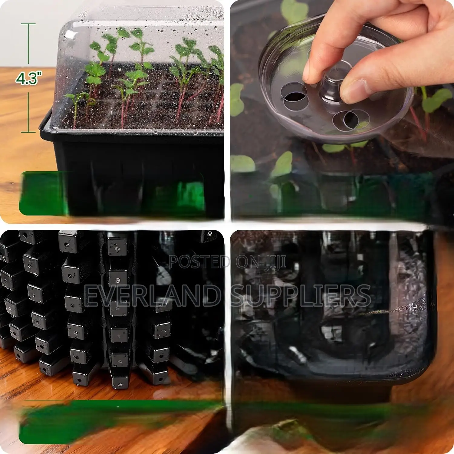 Seedling Trays for Large Nurseries