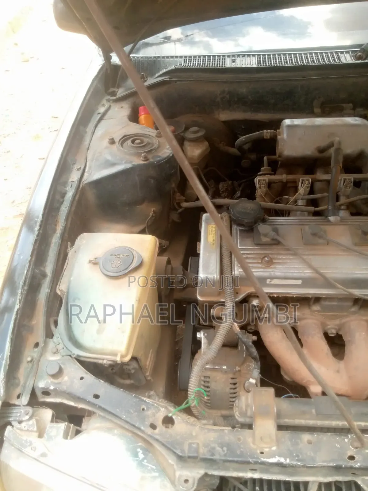 Toyota Sprinter 1996 Green