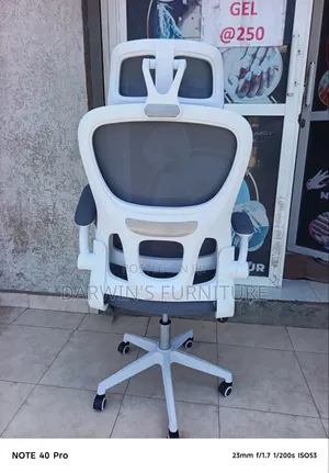 Lumbar Support Chair