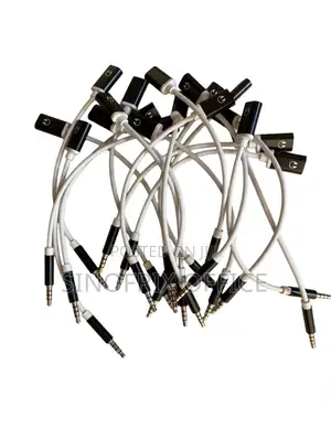3.3mm Male to Type C Female Adapter