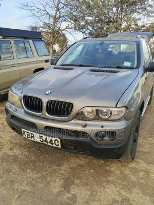 BMW X5 3.0i 2005 Gray