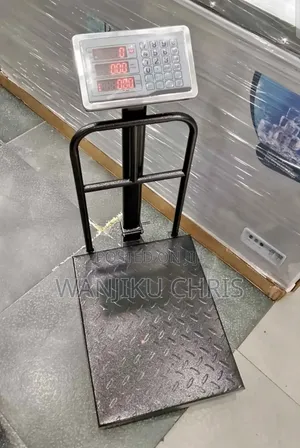 Heavy Duty Weighing Scale/300kg Platform Scale