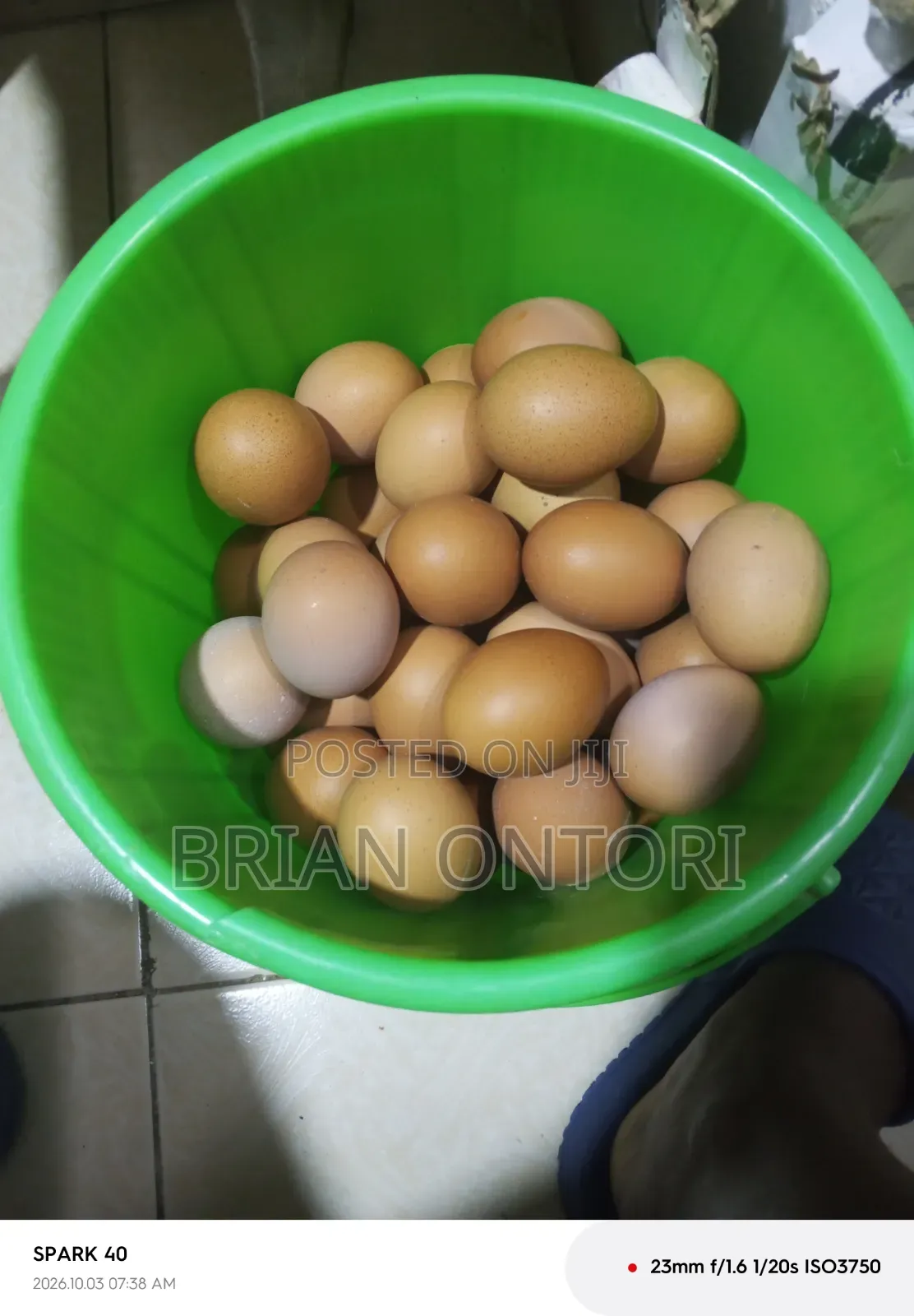 Acrate of Eggs