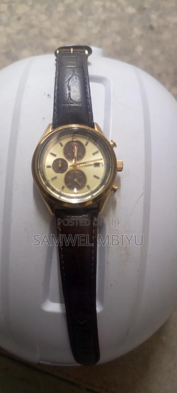Citizen Echo Drive Watch - main view