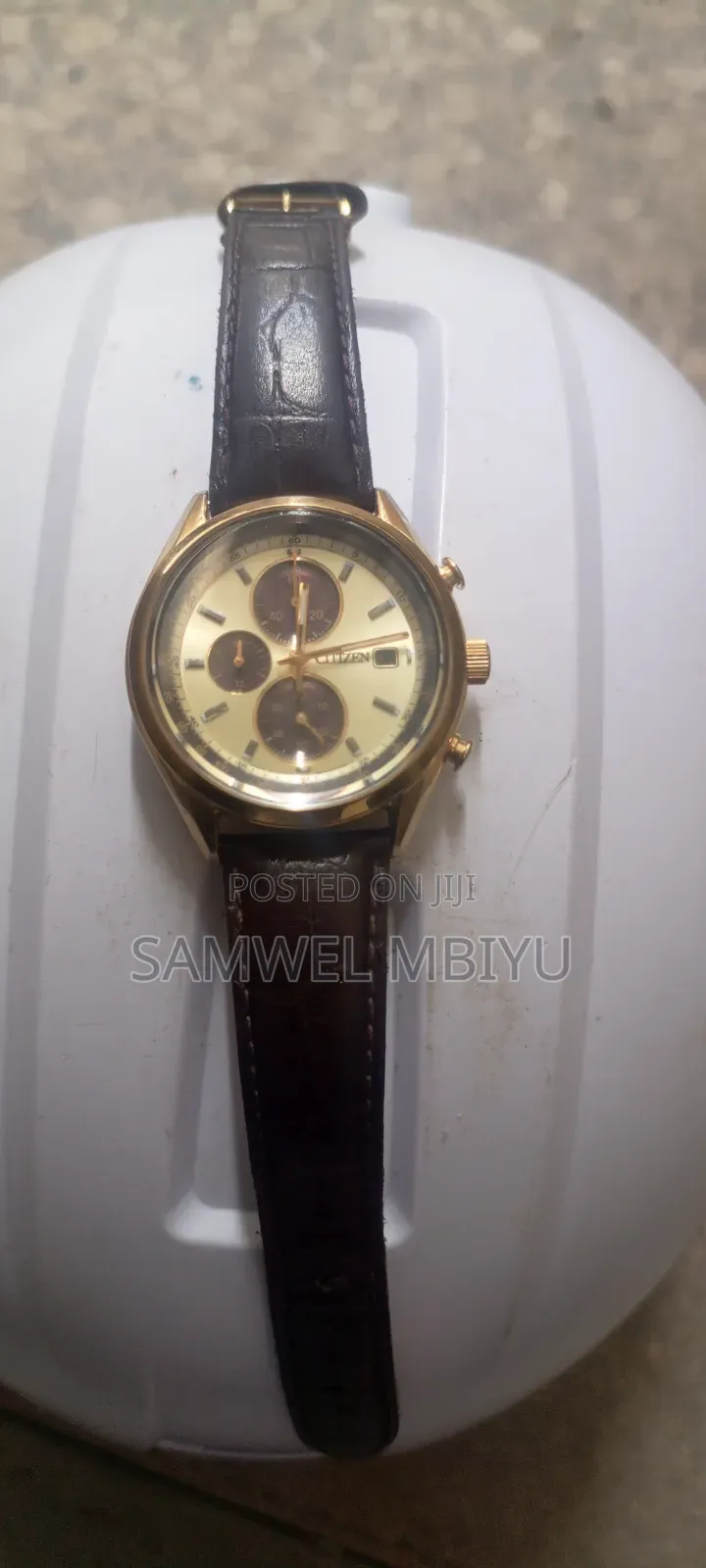 Citizen Echo Drive Watch