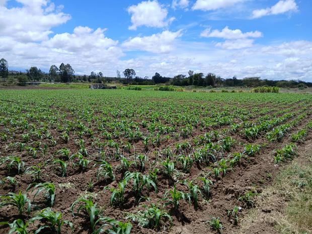 4.5 Acrea Nanyuki Fronting River
