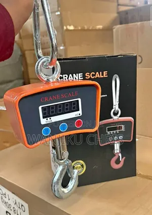 500kg Heavy Duty Crane Scale/Digital Crane Scale 500lg