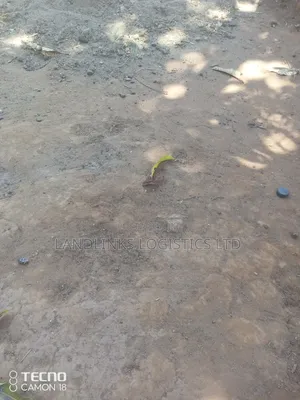 Katani Behind Seme Primary School 1 Acre Ideal for Anything