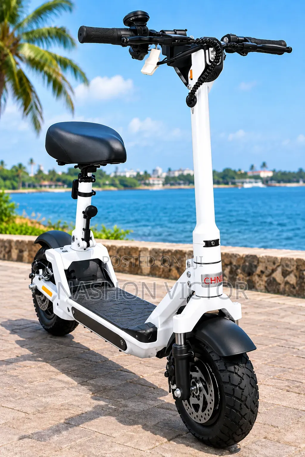 EV Electric Scooter