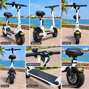 EV Electric Scooter