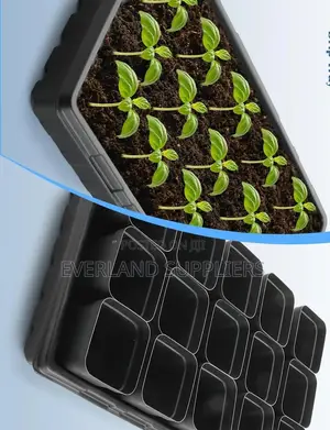 Seedling Trays for Tomatoes