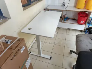 1.2m Electric Standing Desk