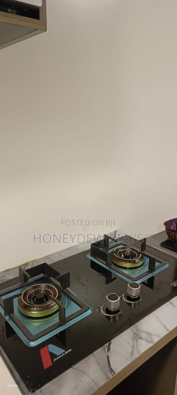 Elegant Executive Studio Near JKIA - thumbnail 3