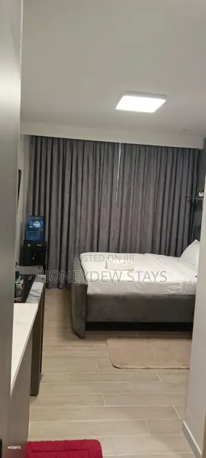 Elegant Executive Studio Near JKIA