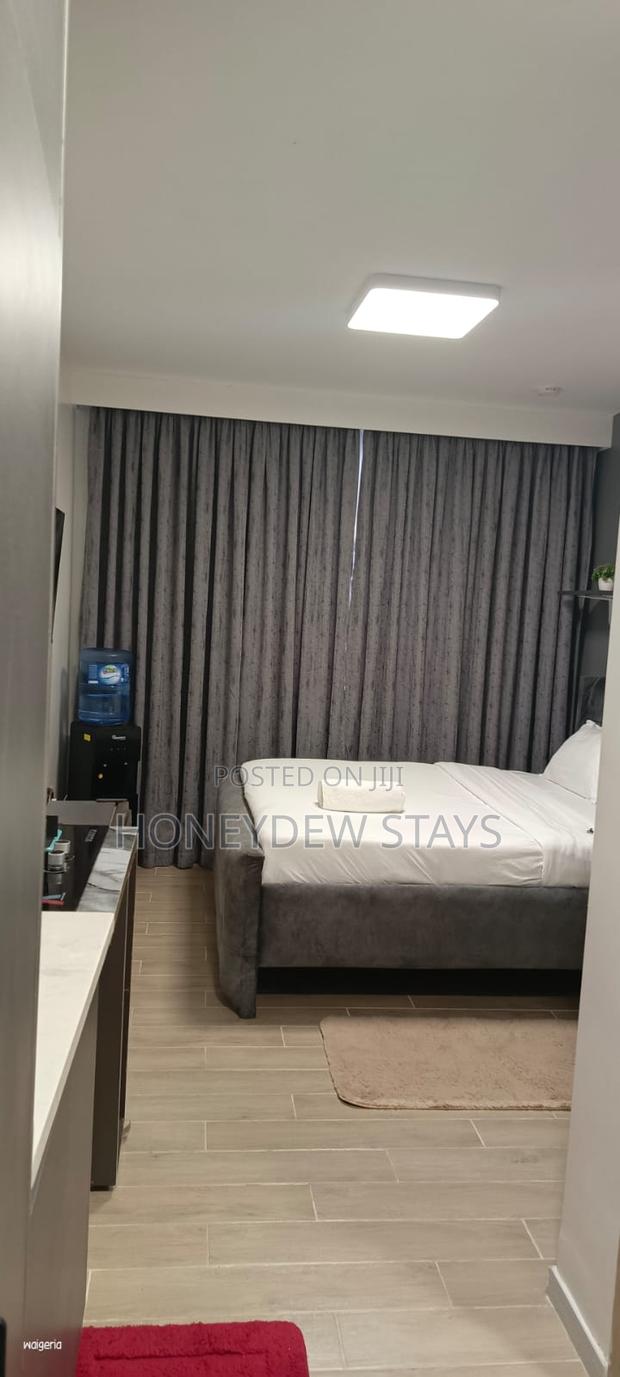 Elegant Executive Studio Near JKIA - thumbnail 4