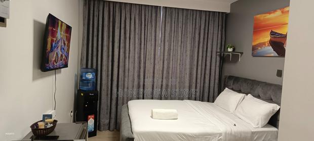 Elegant Executive Studio Near JKIA - thumbnail 6