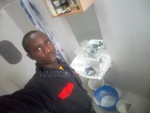 Electrician/Painter and Driver