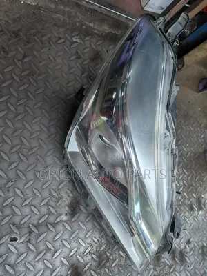 Vitz 2018 (303)