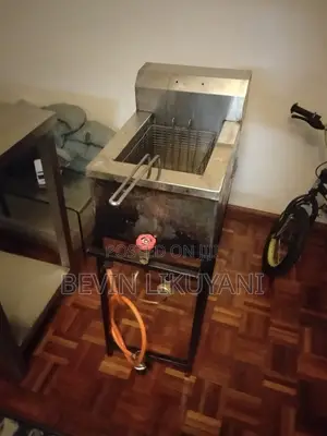 Single Gas Fryer