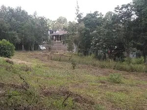 Amazing One Eighth Plots in Ngong