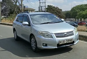 Toyota Corolla Fielder 2008 Silver