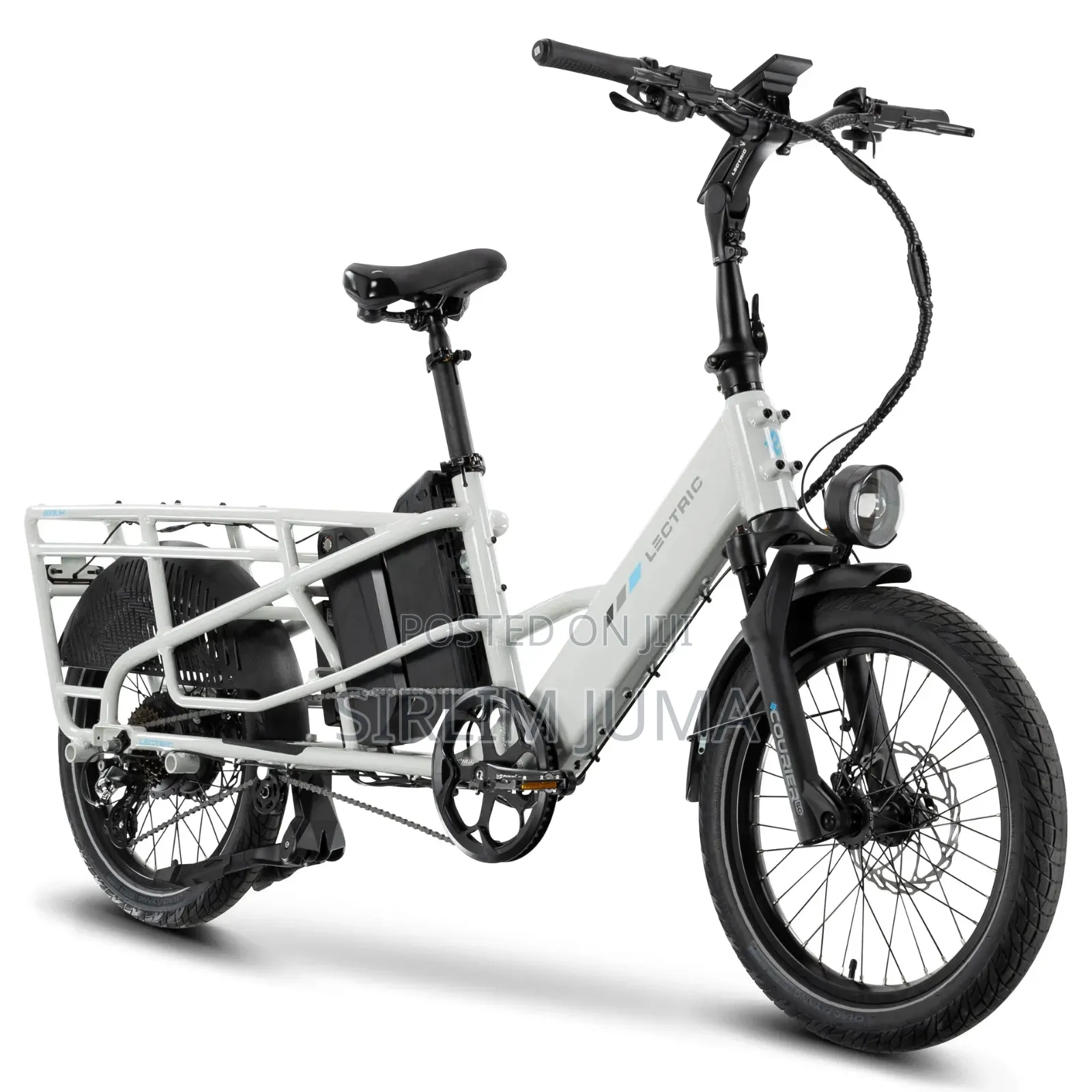 Lectric Bike