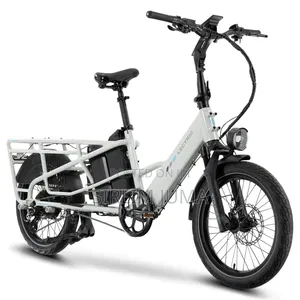 Lectric Bike