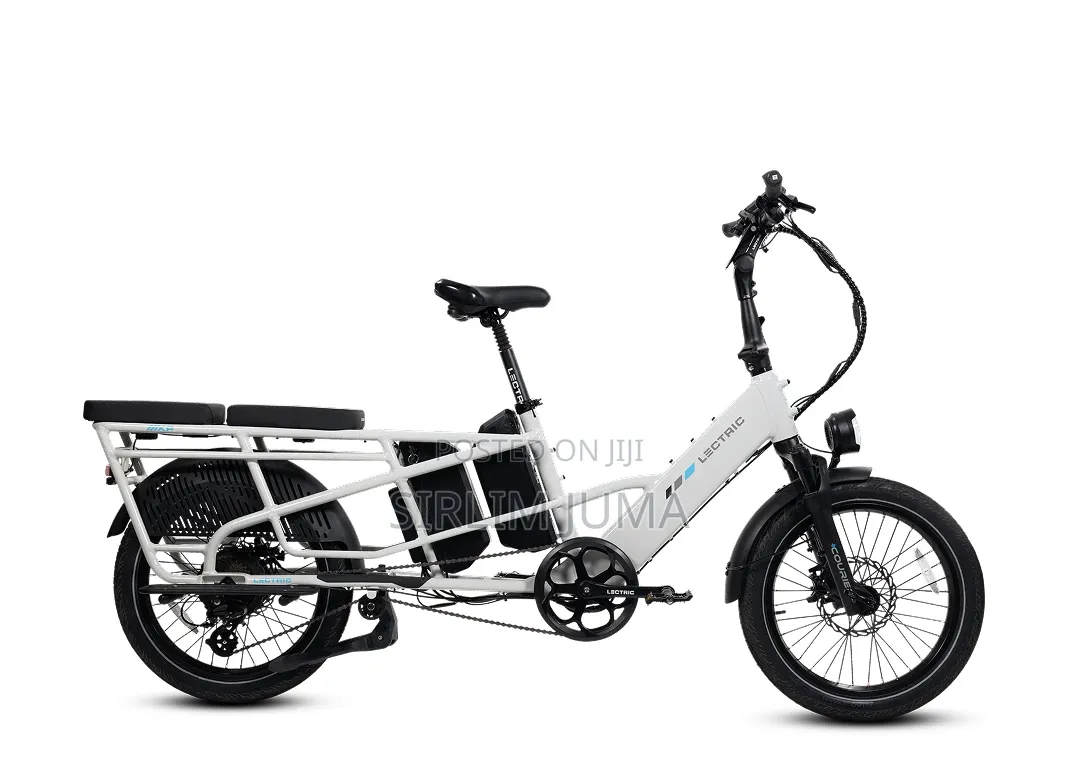 Lectric Bike