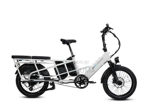Lectric Bike