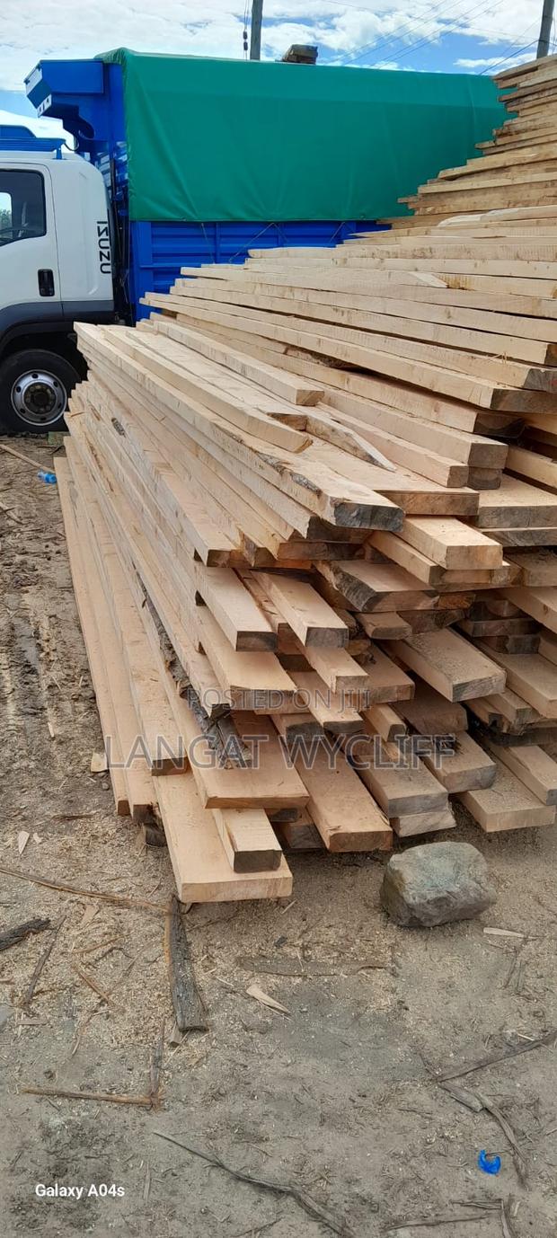 Wood Characteristics - main view