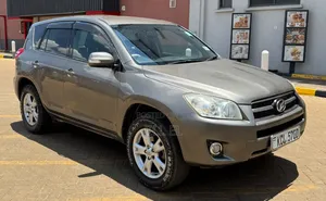 Toyota RAV4 2010 Gray