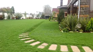 Professional Landscaping & Garden Maintenance