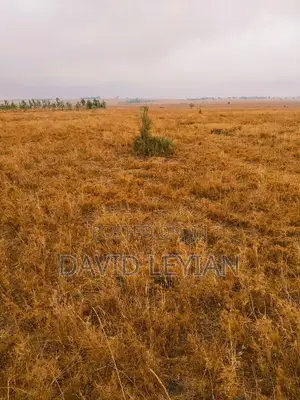 3 Acres for Sale Isinya