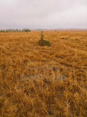 3 Acres for Sale Isinya
