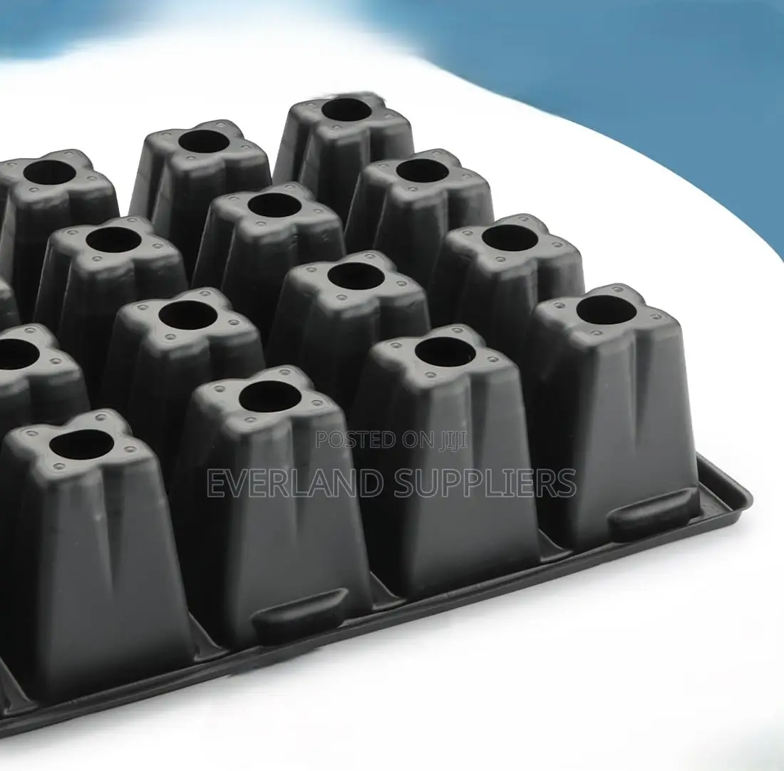 Seedling Trays for Kale