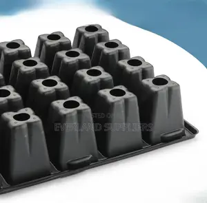 Seedling Trays for Kale