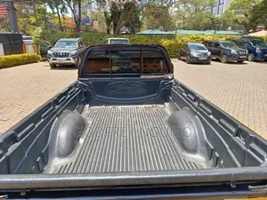 Isuzu D-MAX 2010 Gray