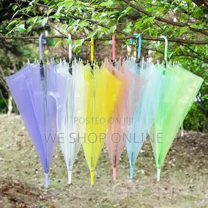 Translucent Umbrella  