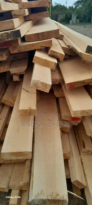 Sustainable Timber Productions